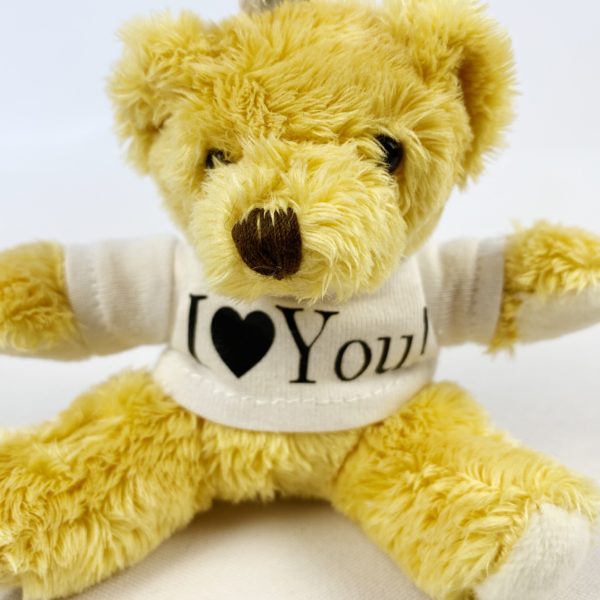 Personalisierter Schlüsselanhänger teddy
